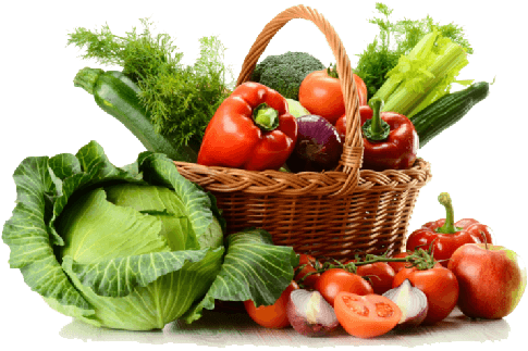 Vegetable Basket