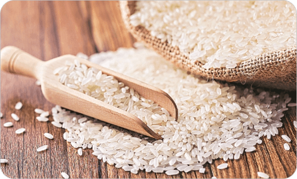 Agri Commodities – Rice
