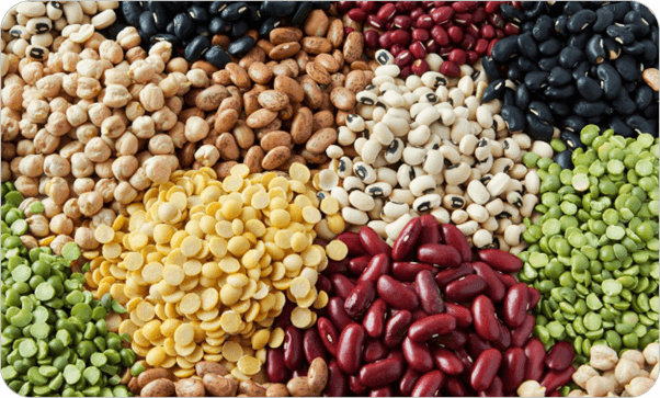 Agri Commodities – Pulses